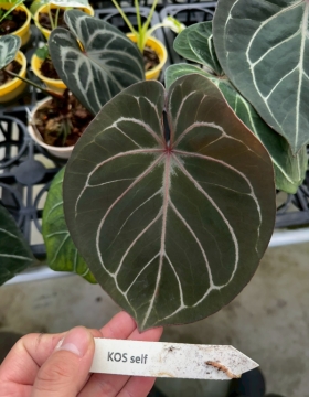 LINE_ALBUM_報價_260406_52